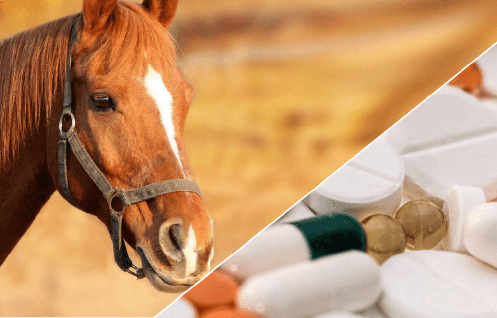 "Por favor no use desparasitante para tratar el covid-19”: el clamor de expertos ante uso de medicamento para animales 