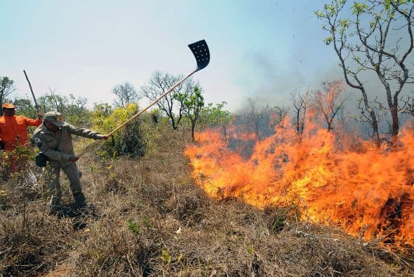 El fuego consumió un área de 10 mil hectáreas de esta área protegida vecina a la capital, según el Instituto Chico Mendes, órgano del Gobierno que se ocupa de la conservación de la biodiversidad.