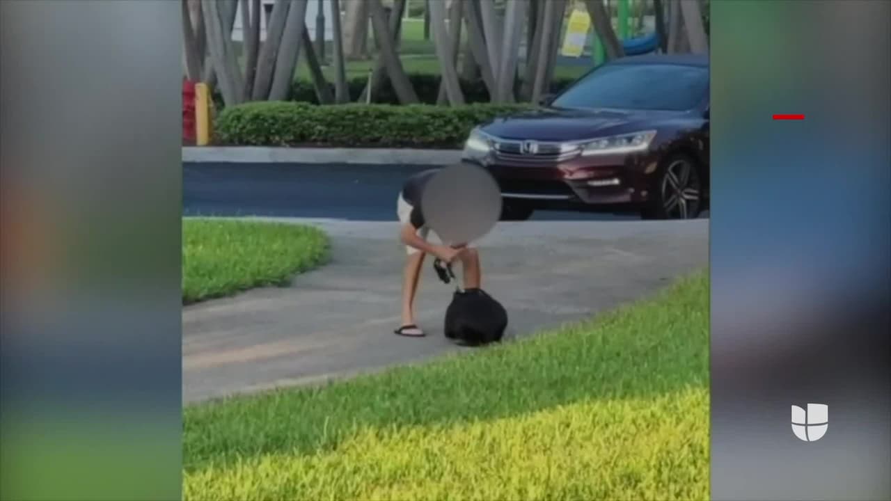 Captan a un hombre dando una golpiza a su perrito: la policía investiga si es un caso de crueldad animal