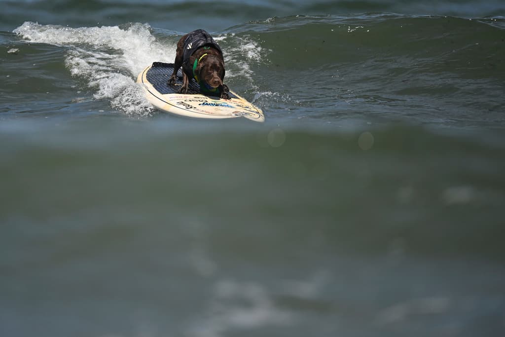 Para Cacau, de Brasil, la competencia parecía un día de diversión, en el cual no quería parar de cachar olas y deslizarse con maestría sobre ellas.