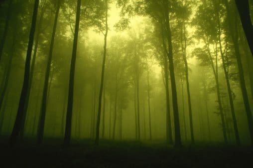 En este Mes del Caballo se acentúa tu compatibilidad amorosa con el Buey. Oportunidades que debes aprovechar este mes: Esas intuiciones y corazonadas que te están llegando, en sueños, en premoniciones. Los juegos lícitos, el azar, las rifas, sorteos, concursos, ya que estarás muy intuitivo y te podrás dar cuenta enseguida del mejor momento para jugar un número o participar en una competencia. Por: Profesor Zellagro