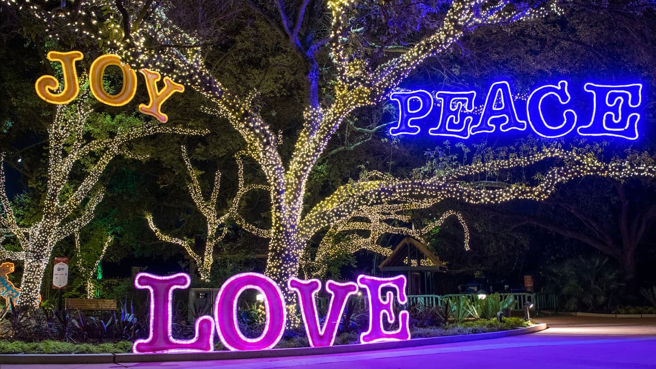 La iluminación ecológica LED decora los árboles e invita a vivir una experiencia única.