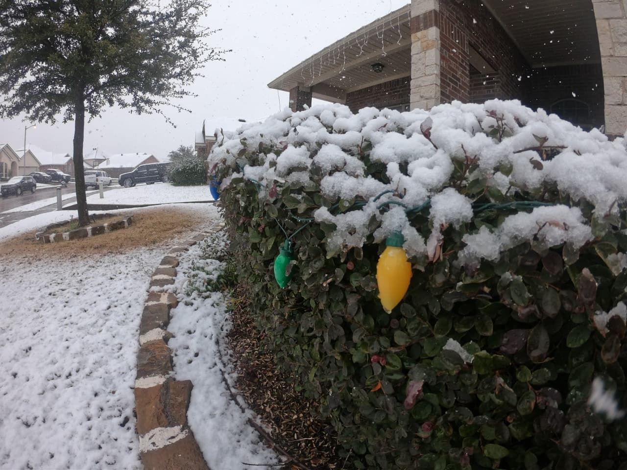 Televientes en el norte de Texas compartieron a Noticias 23 varias fotos de la nieve.