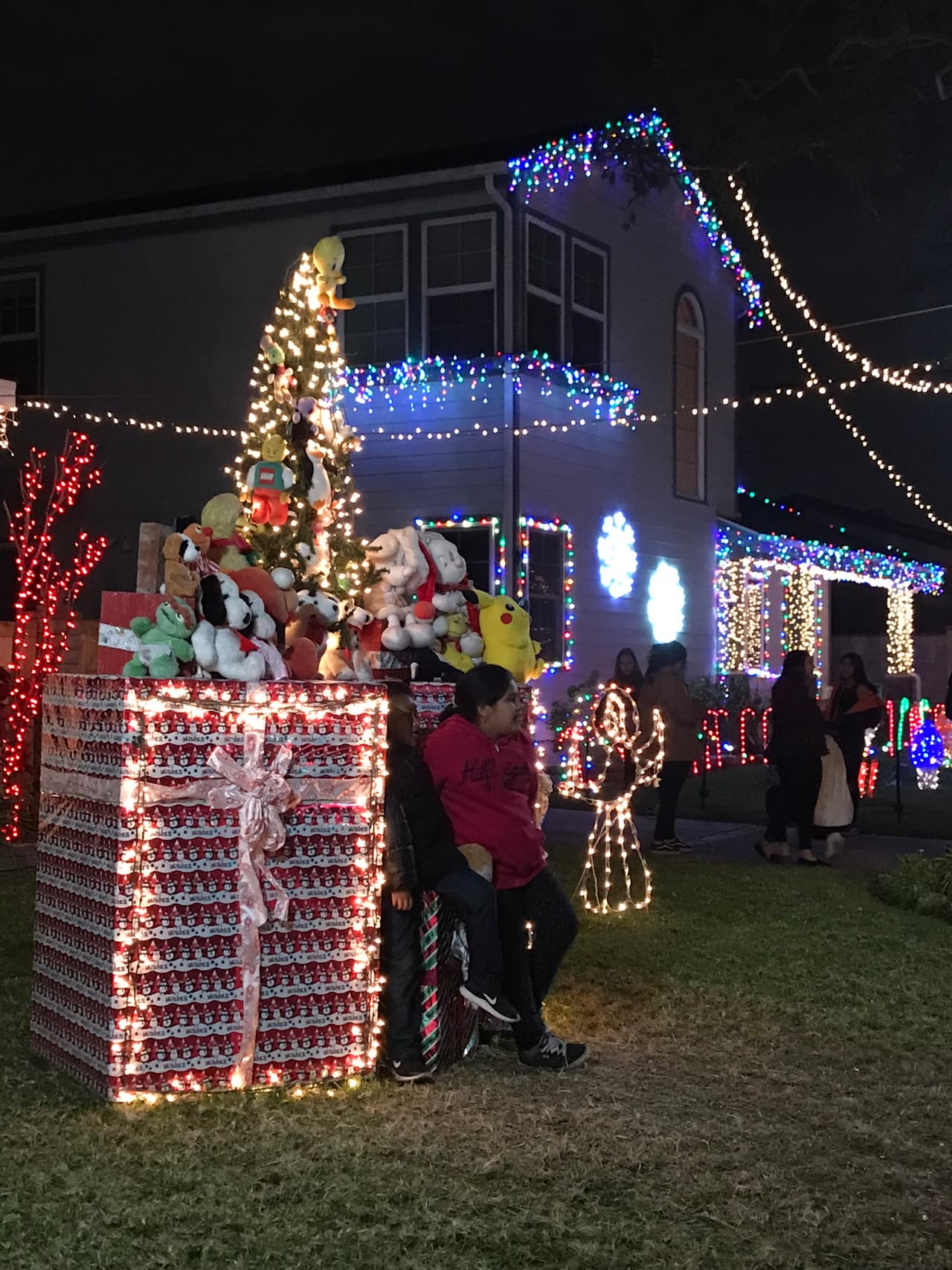 Vístase cómodo y bien abrigado. Además tenga en cuenta que la mejor manera de disfrutar el paseo es caminando, así que no olvide usar zapatos deportivos.