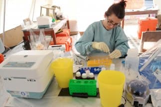 Los gobiernos de la región deben permanecer vigilantes para detectar casos compatibles con ébola en viajeros.