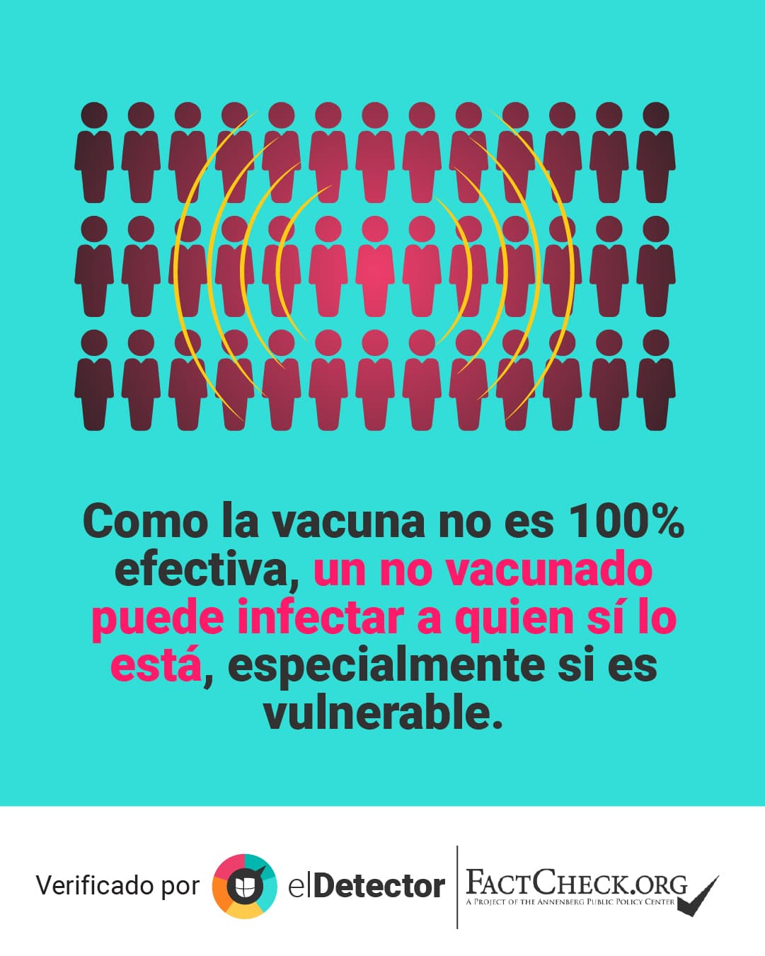 <a href="https://www.univision.com/noticias/los-no-vacunados-ponen-en-riesgo-a-los-vacunados">Lee aquí </a>la verificación completa de 
<b>elDetector </b>en alianza con 
<i>FactCheck.org.</i>