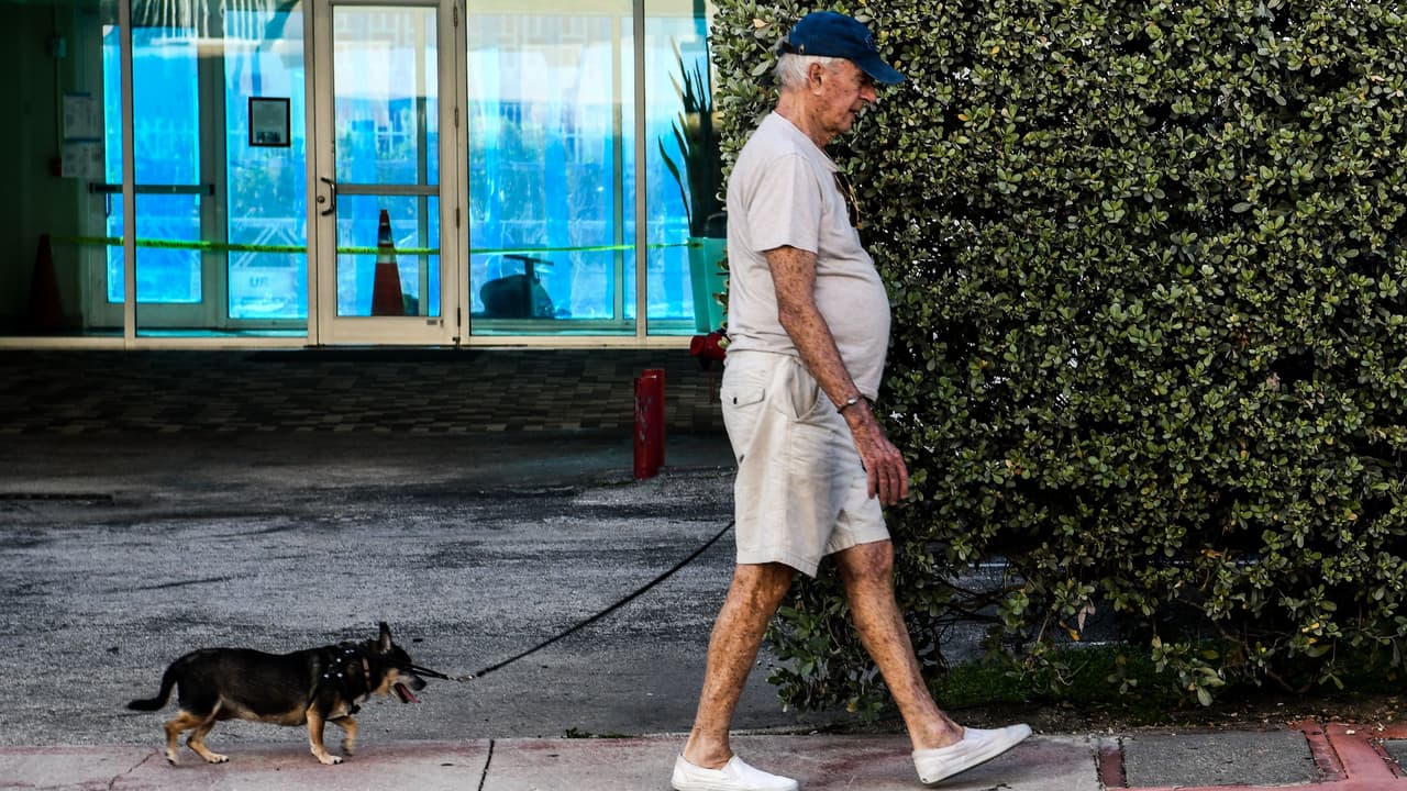 ¿Tienes más de 50 años y vives solo? Te contamos por qué una mascota te puede ayudar en tu salud cognitiva