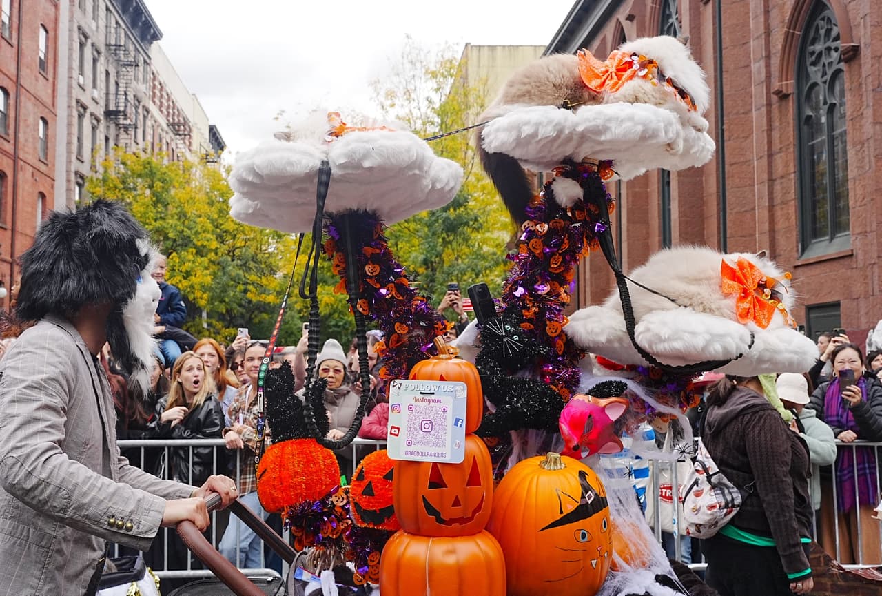 Los perros y gatos mostraron sus mejores atuendos para tratar de ganar el concurso que se realiza cada octubre en vísperas de Halloween.