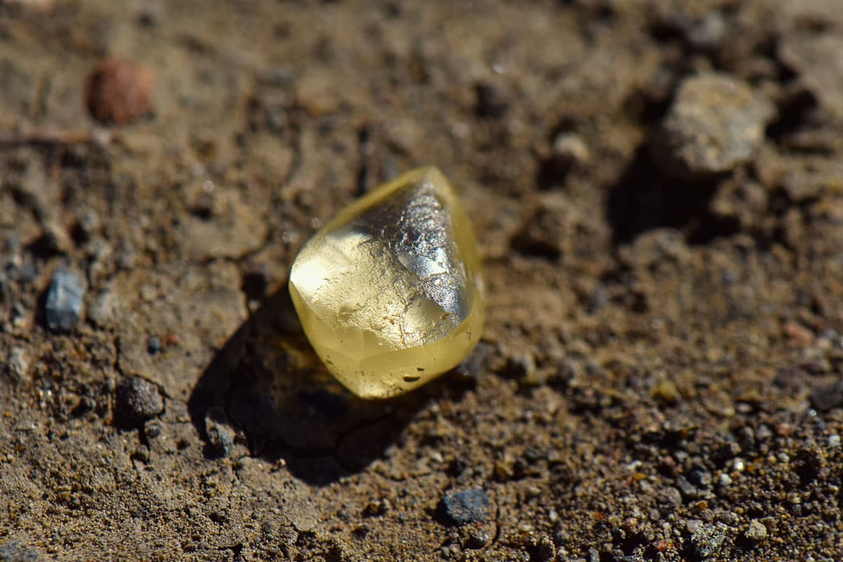 Mujer halla un hermoso diamante amarillo en un parque natural de Arkansas (y se lo queda)