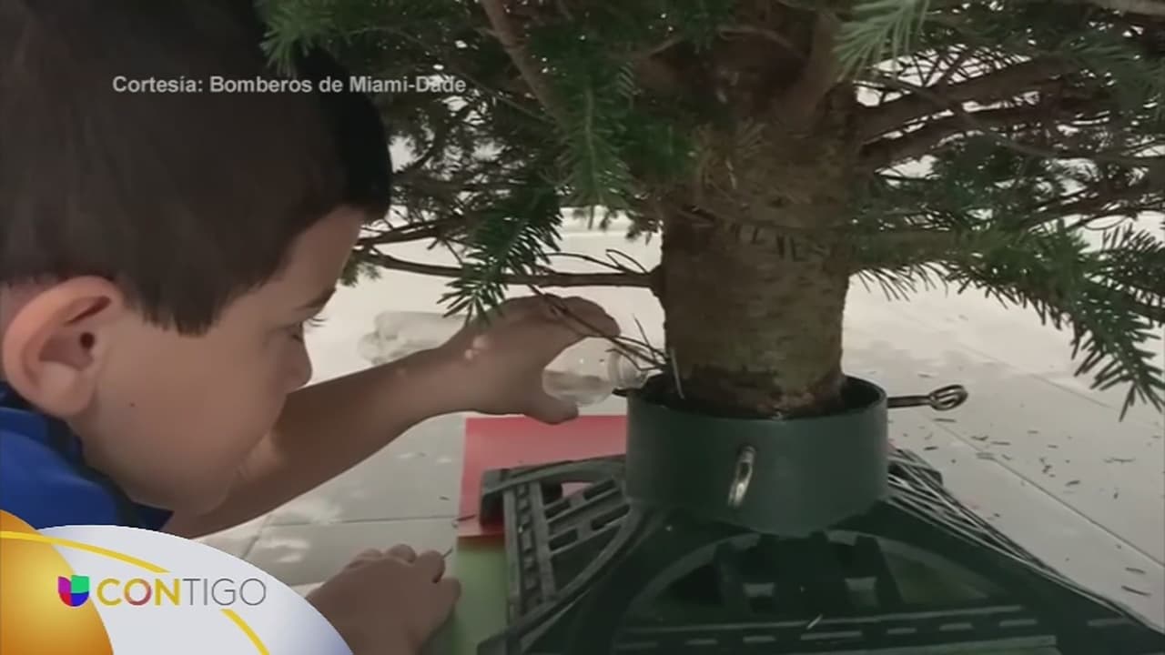 Consejos para evitar accidentes a la hora de decorar la casa en esta época navideña