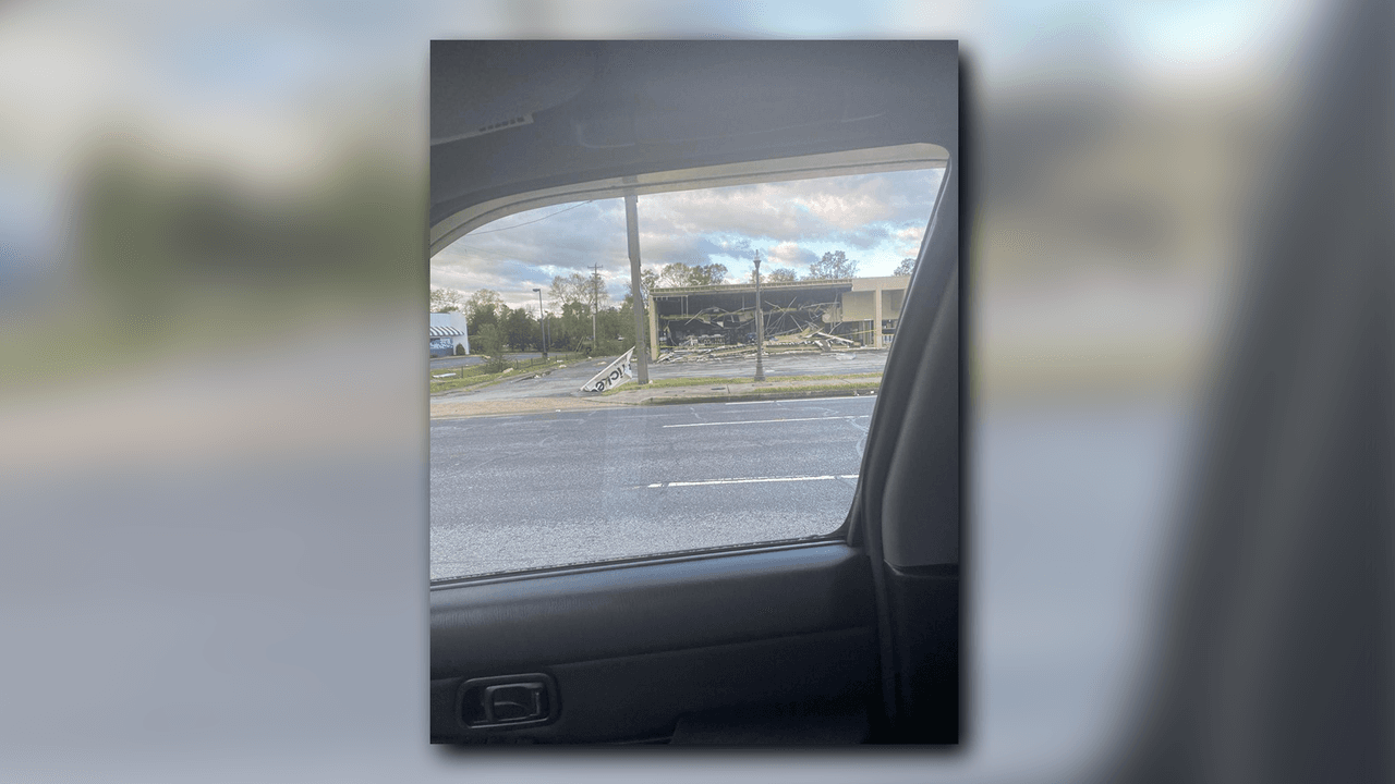 Los fuertes vientos derribaron árboles y tendidos eléctricos.