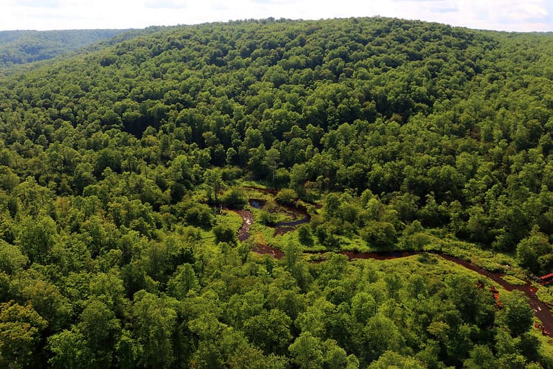 El Viaducto, que una vez fue la estructura ferroviaria más larga y más alta con 2,053 pies de largo y 301 pies de alto, fue parcialmente destruido por un tornado durante 2003.
<br>
<br>Reinventado como una pasarela peatonal durante el 2011, los visitantes pueden pasear 600 pies por las torres de soporte restantes, asomarse millas hacia el desfiladero de Kinzua y contemplar la plataforma parcial de vidrio al final de la pasarela.
<br>