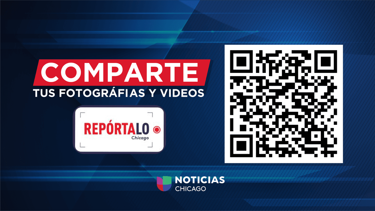 ¡Comparte a tu firulais!