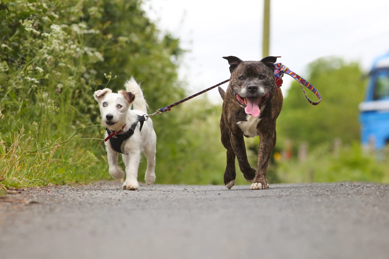 ¡Son casi hermanitos!