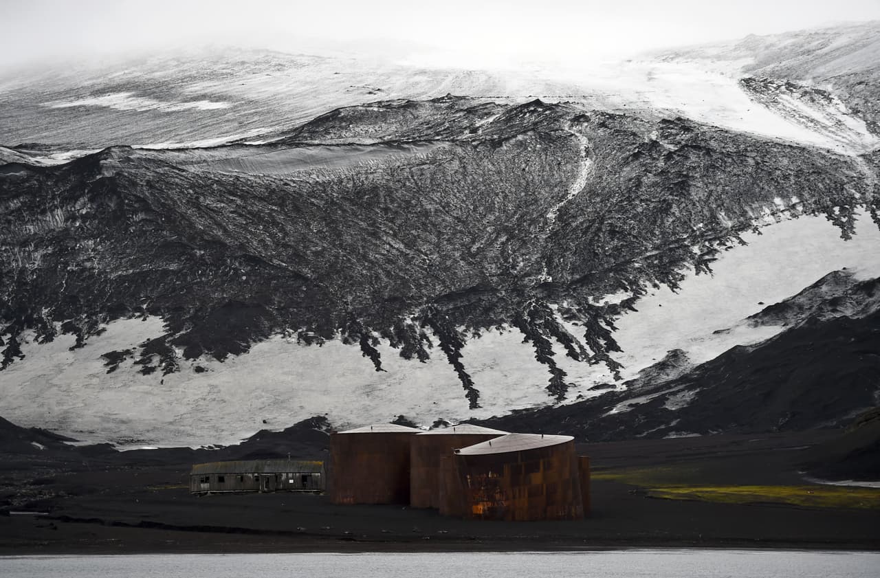 A la derecha se observa un poco de cobertura de musgo. El verde destaca frente a la blancura del paisaje.