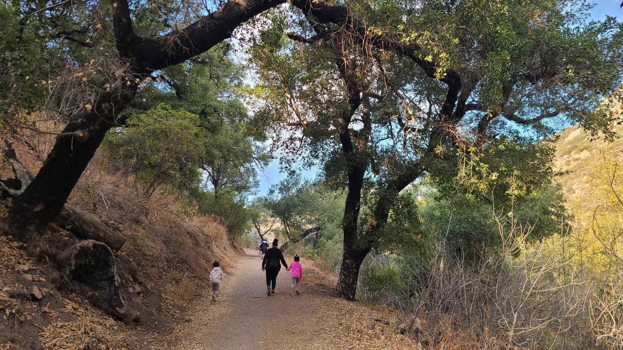 Hay cientos de opciones con diversos niveles de intensidad que puedes disfrutar tanto con los niños, como con adultos.