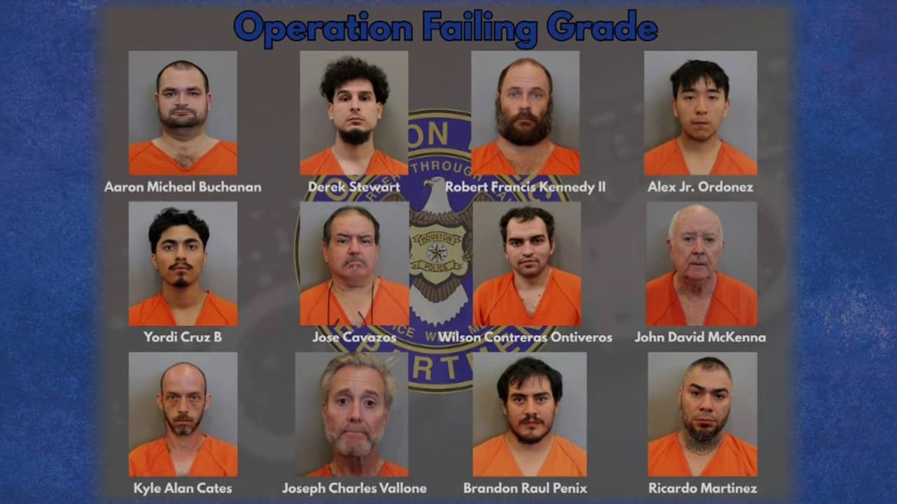 Arrestan a 12 sospechosos por posesión y difusión de pornografía infantil en Houston