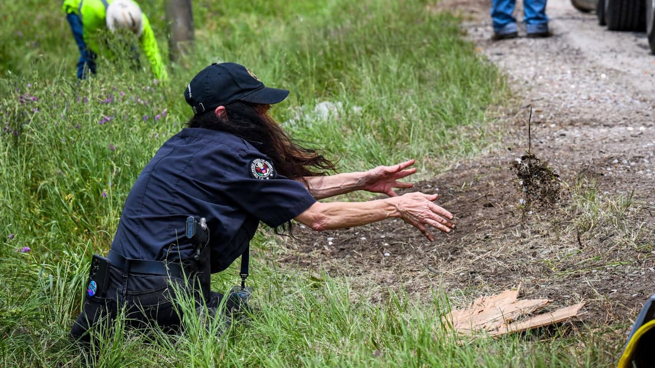 <b>Ambos ocupantes del camión, el conductor y un pasajero, fueron trasladados a Medical City Decatur con heridas menores</b>, de acuerdo con el Departamento de Seguridad Pública de Texas. Se encuentran fuera de peligro. La escena, inusual incluso para los estándares de accidentes en carretera, 
<b>atrajo la atención de conductores y curiosos que pasaban por el área.</b>
