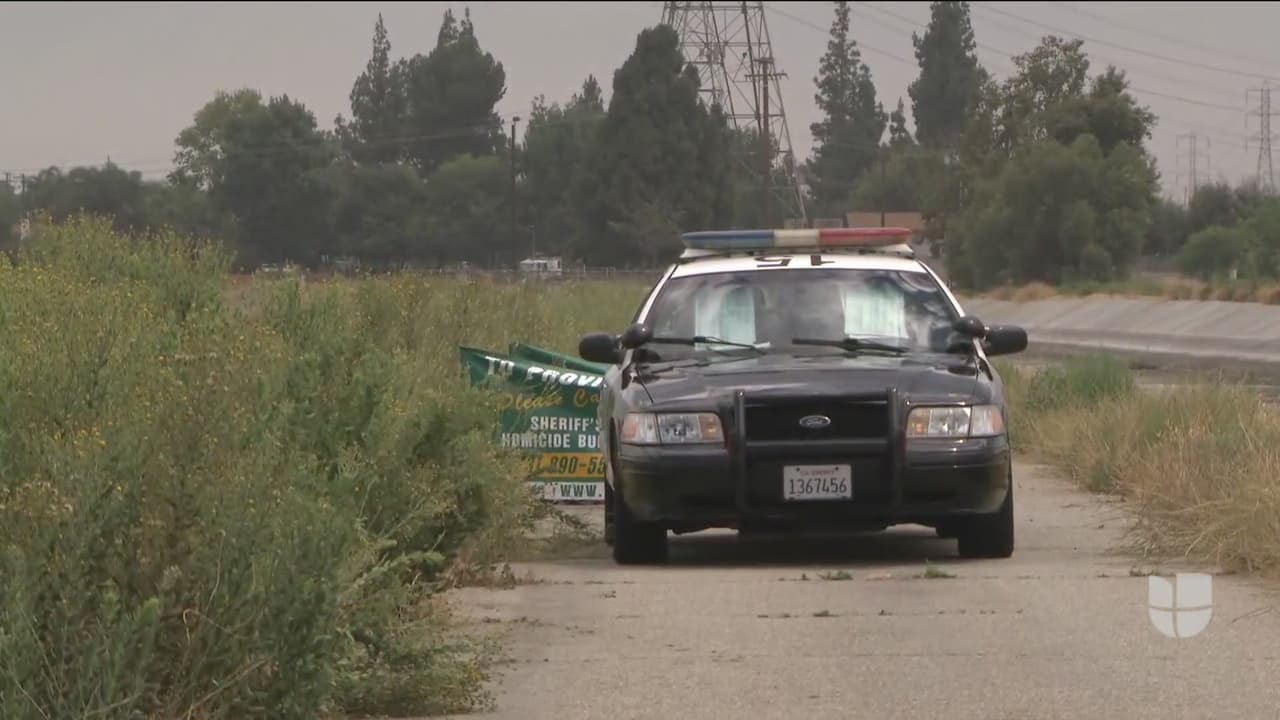 Confirma la muerte de una mujer y sus dos perros tras ser alcanzados por un rayo