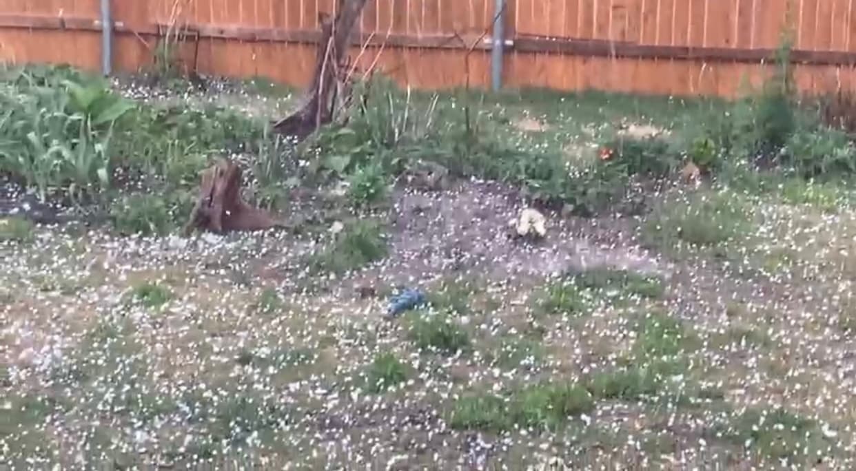 Los equipos del Servicio Nacional de Meteorología comenzarán a inspeccionar los daños en los condados de Williamson y Bell causados por las tormentas.