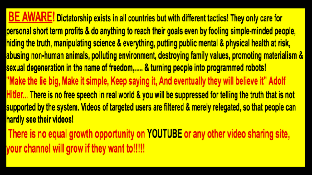 El manifesto de Nasim Aghdam en contra de YouTube.