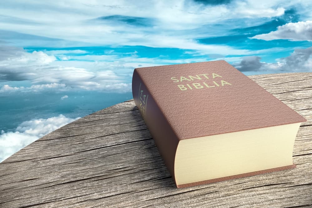 <b>Los versículos dicen:</b>
<br>"25: Habrá señales en el sol, la luna y las estrellas. En la tierra, las naciones estarán en angustia y perplejidad ante el rugido y el lanzamiento del mar. La gente desmayará de terror, temiendo lo que viene sobre el mundo, porque los cuerpos celestes serán sacudidos”.