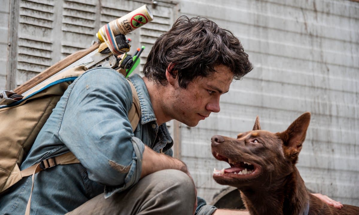 Película 'Love and Monsters'