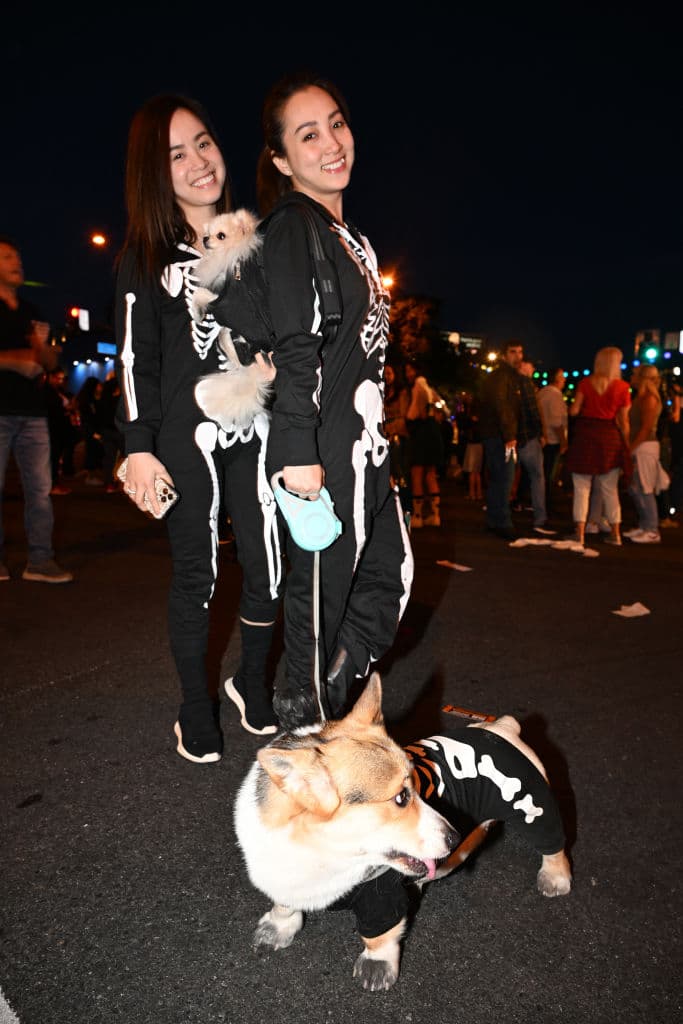 Mascotas, como aves, serpientes, gatos y perros, no quedaron fuera. Algunas, como estas dos, llevaban un 'disfraz' en combinación con sus dueñas.