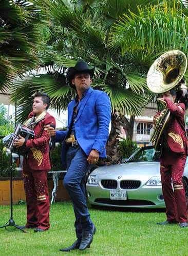Además de los autos lujosos, en el video 'El señor de los cielos', Javier Reyes aparece portando una pistola calibre .375 dorada.