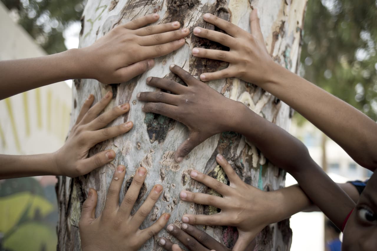 9-Para más opciones de campamentos para este verano visite dallassummercamps.org. (Photo credit should read MOHAMMED ABED/AFP via Getty Images)