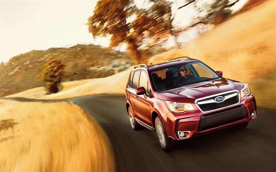 Mejor SUV Compacta: Subaru Forester 2016: En el atestado segmento de las SUVs y crossovers compactas la Forester se destaca por su espacio, comodidad y unas serias capacidades como todoterreno de las que muy pocas camionetas en su segmento pueden presumir.
