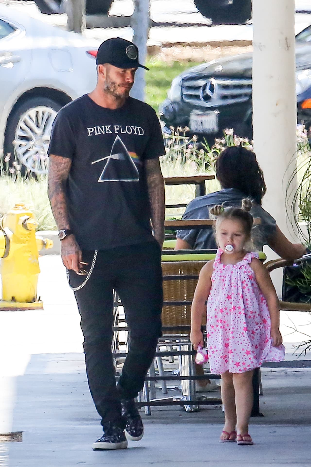 David y Harper paseando como de costumbre.