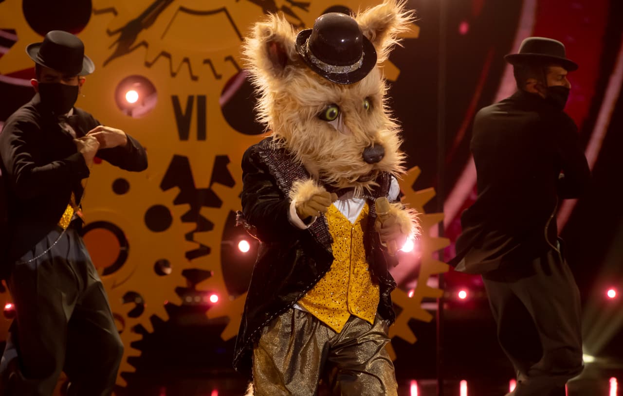 Los pronósticos sobre quién podría estar detrás de Perro Callejero fueron: Emir Pab´on, Sergio Corona, Manuel 'Flaco' Ibañez y hasta Gilberto Santa Rosa.