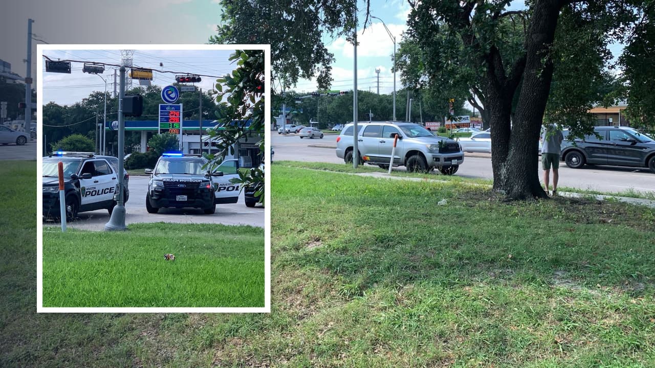 Muere atropellada una hispana de 11 años mientras intentaba cruzar una calle en Houston: iba caminando sola 