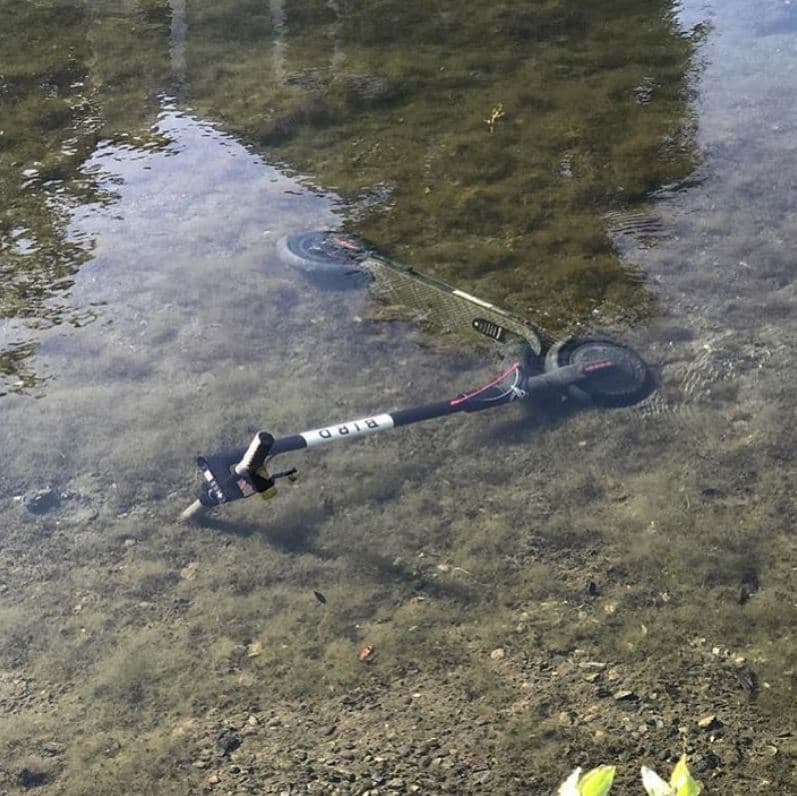 Hasta ha aparecido una cuenta en Instagram donde se publican las imágenes con la destrucción de estos vehículos: 
<b><a href="https://www.instagram.com/birdgraveyard/" target="_blank">Bird Graveyard</a></b>
