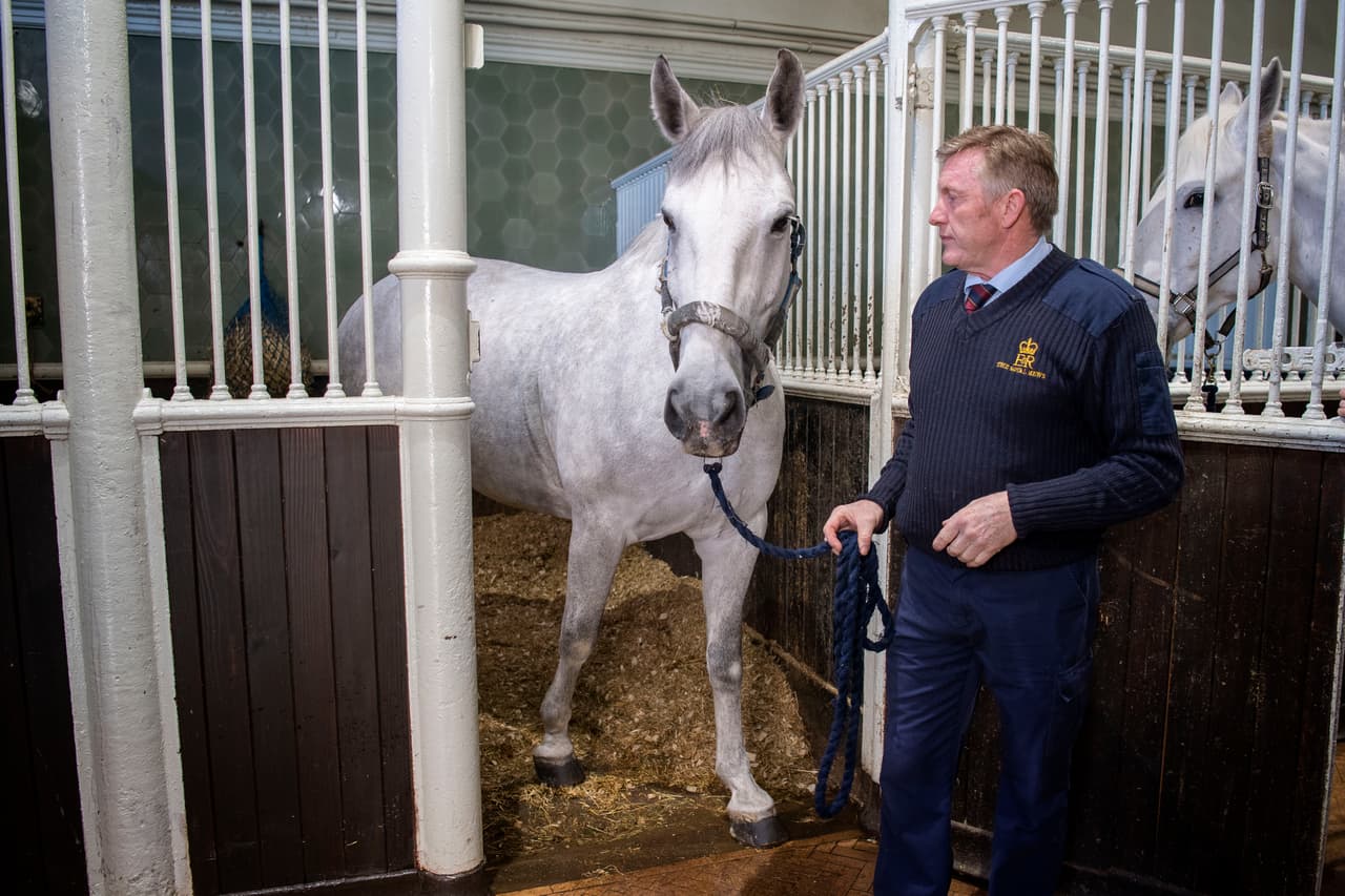 “Es un vehículo maravillosamente brillante, pequeño y hermoso, que permite que la gente vea fácilmente", dijo el cochero encargado del recorrido, Philip Barnard-Brown.