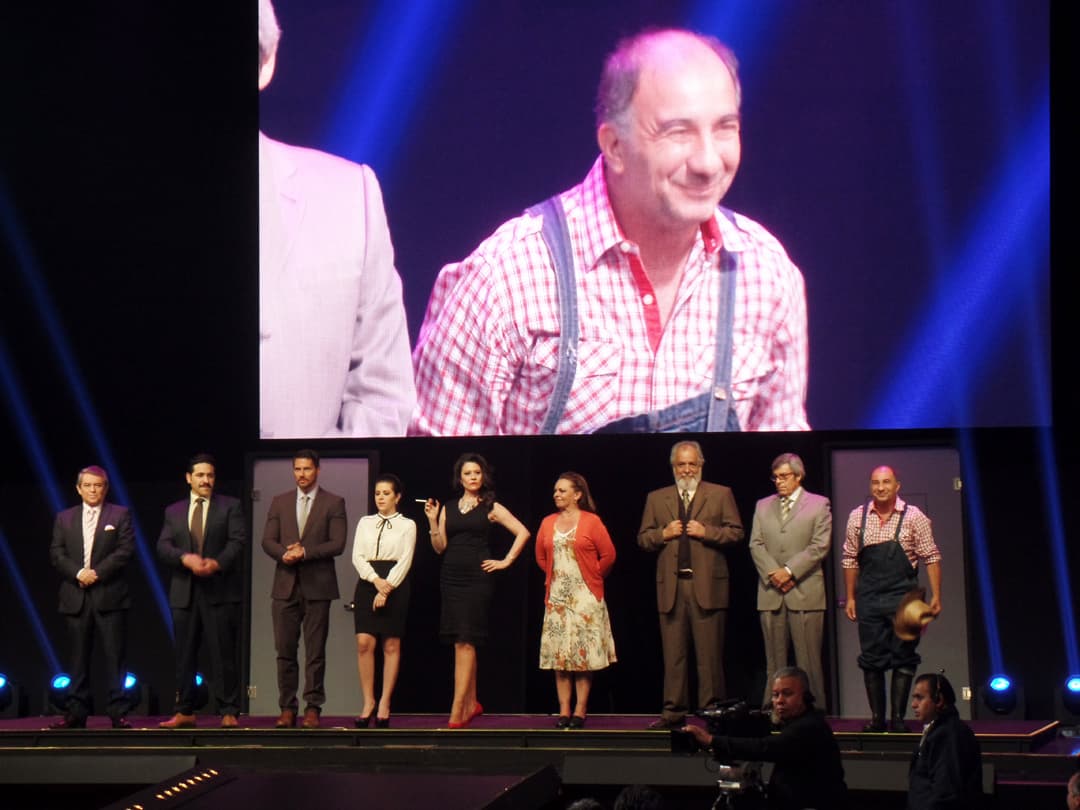 El elenco está conformado por actores de primera.