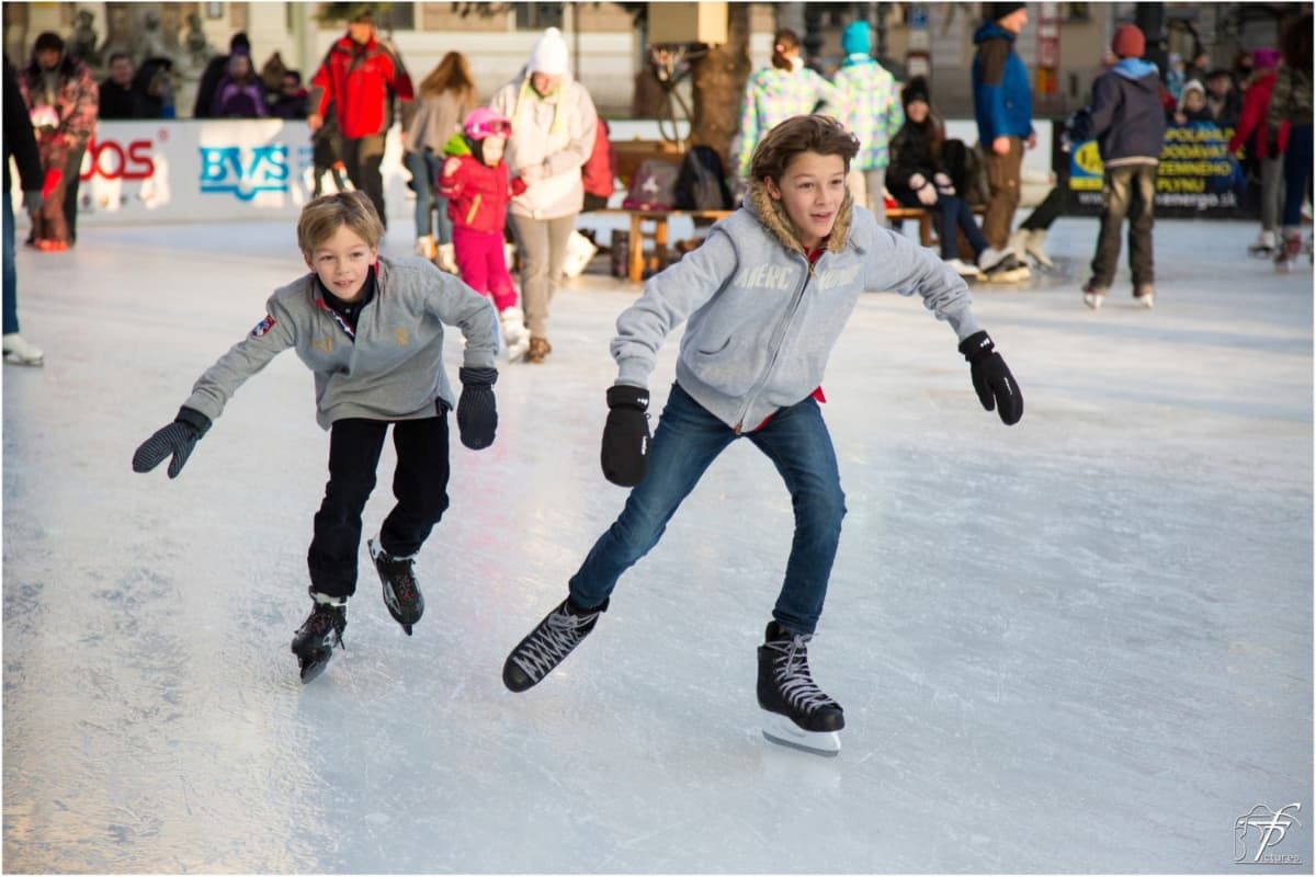 ⛸
<b>Warren Park Ice Rink - West Ridge</b>
<br>📍6601 N.Western Ave.
<br>📆Del 24 de noviembre al 19 de febrero de 2024
<br>📲Si quieren participar en algún programa necesitan reservar
<br>✍️(312) 442-2194. www.chicagoparkdistrict.com