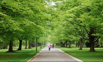 Empatado en el tercer lugar con la medalla de bronce se encuentra 
<b>el Parque de la Reina en Nueva Zelanda.</b> Está ubicado en la ciudad de Invercargill. Es una de las más importantes reservas de animales del país. Asimismo, cuenta con jardines sensoriales y achaparrados.