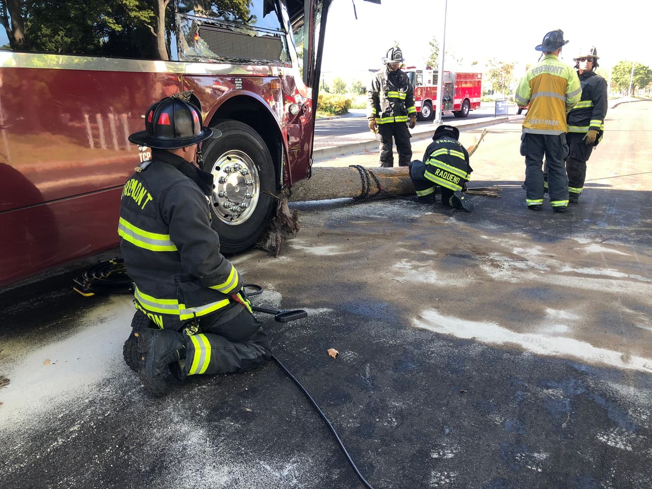 Para asegurarse de que el autobús se estabilizara, las cuadrillas usaron bolsas de aire grandes y un cabrestante para quitar el árbol.
<br>
