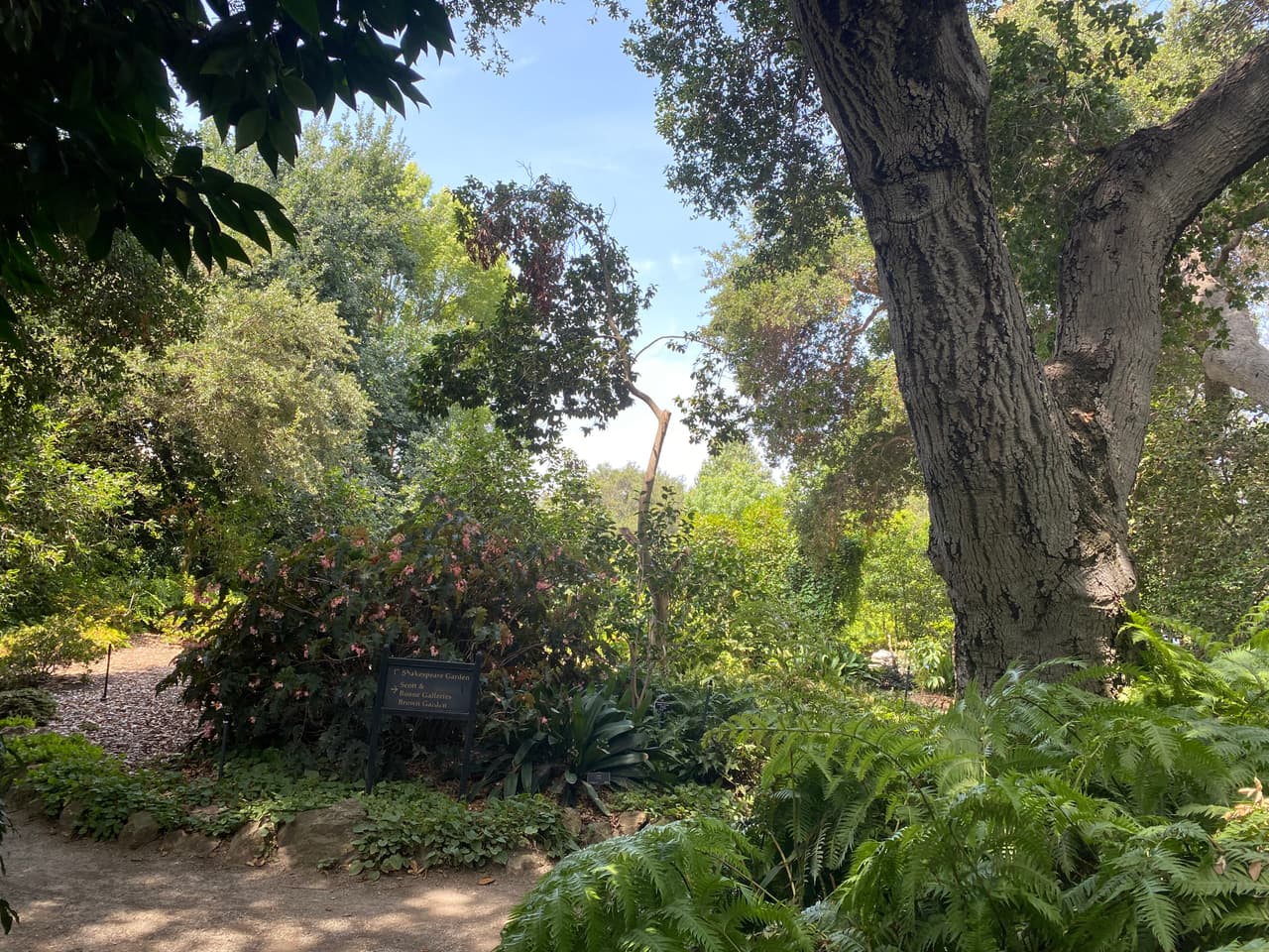 El jardín de rosas también tiene un hermoso paseo en el que podrás refrescarte bajo la sombras de gigantescos árboles de oak, mientras disfrutas de la fragancia de las flores, incluso en el verano.