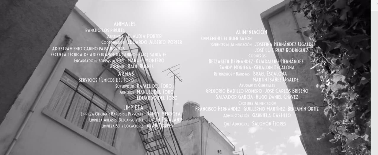 "Borras llegó después de que el señor Manuel Montero (quien se encuentra en los créditos de la película como encargado de Borras) y su amigo Leonardo Serrano, lo encontraron en la calle amarrado con un alambre a una pared de un lote baldío a punto de morir de hambre y sed… SÍ, Borras es un perro rescatado que ambos llevaron a consulta conmigo [...]".