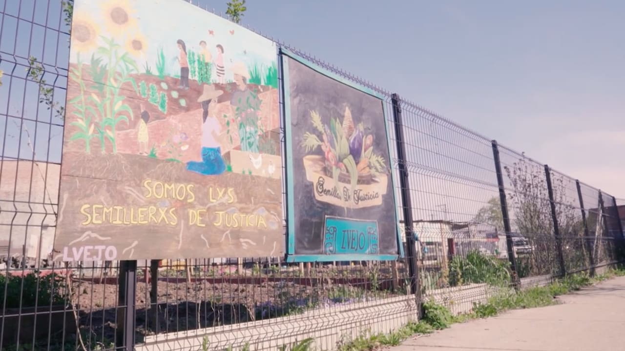 Uno de los beneficios y aspiraciones para la granja se enfoca en el cultivo de sus alimentos y cómo pueden ayudar a la comunidad con los productos. "Crear una base donde nosotros básicamente creamos comida, la crecemos y luego la preparamos y luego también puede beneficiar a la comunidad", argumentó uno de los colaboradores.