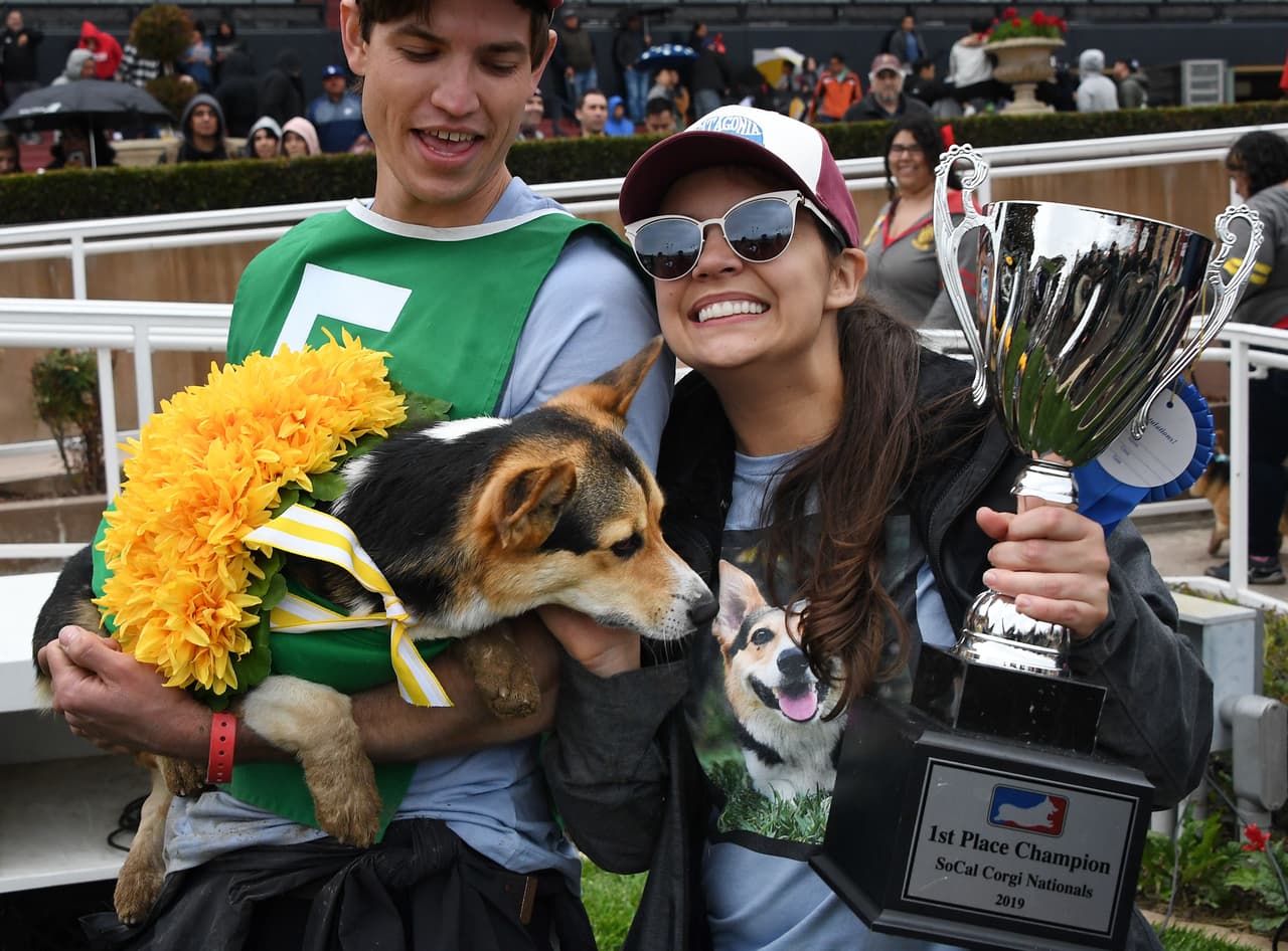 Bradley Taylor y Jessica Wick celebran la victoria de su corgi Emmett.