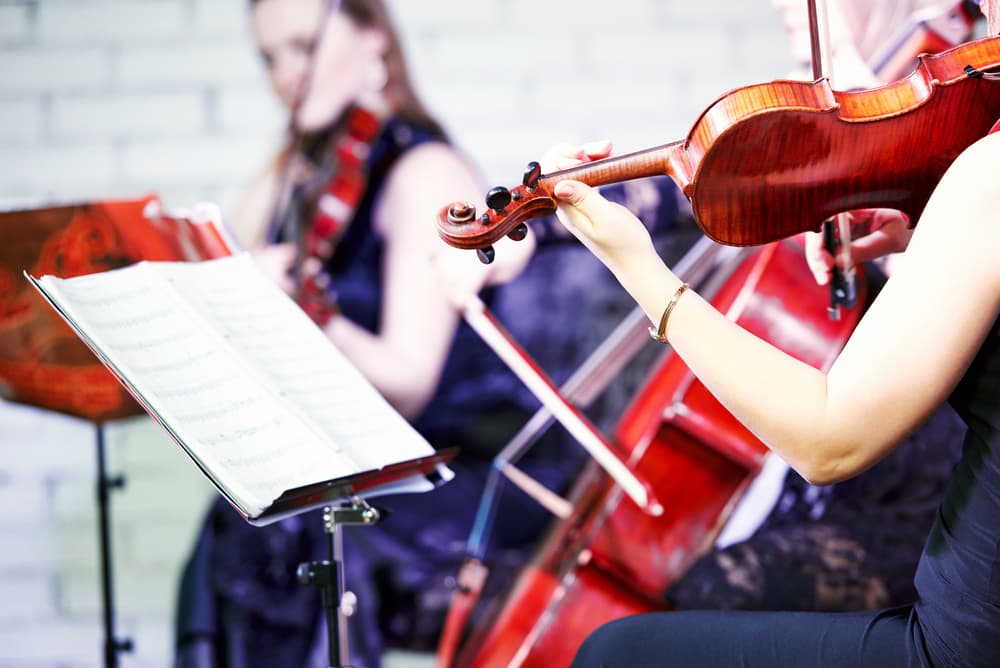 Pero su sensibilidad y amor por la naturaleza quedan perfectos con la música instrumental.