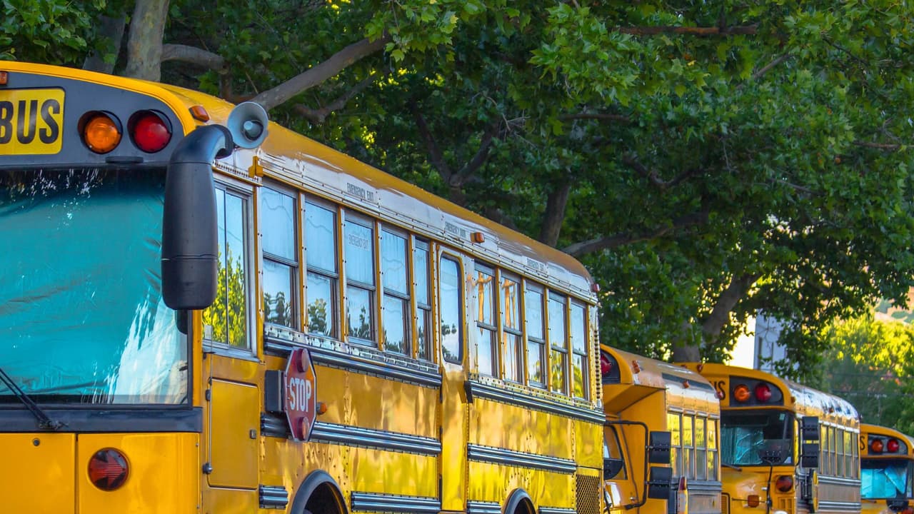 En Texas, 
<b>la primera multa por no seguir estas reglas de tránsito comienza en los $1,250</b>, según el Código de Transporte de Texas.