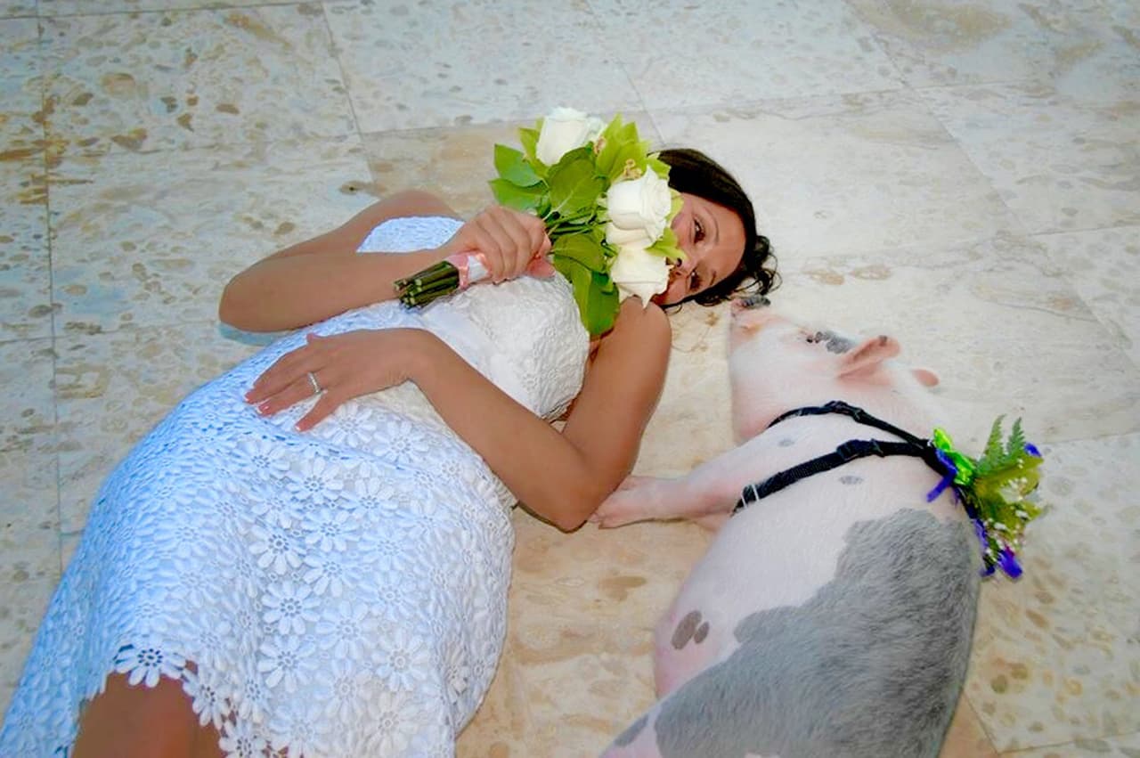 Kristin y Ziggy aprovechan el trabajo de Jay para viajar de un lado a otro.