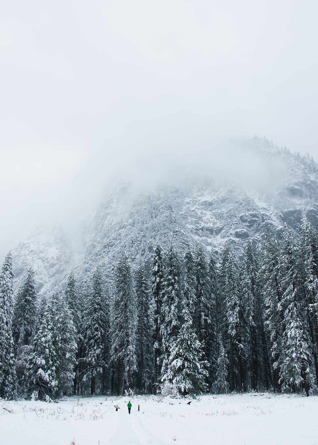 A casi cinco horas de camino, en dirección norte, por carretera desde Los Ángeles. Si vives en San Francisco, Fresno, Sacramento o San José el viaje es mucho más corto.