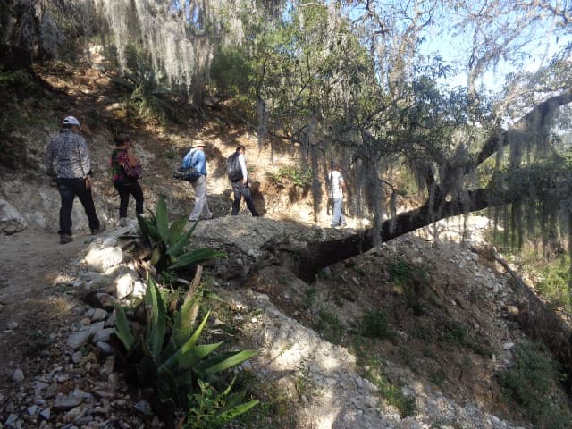 Para llegar al lugar del accidente es necesario caminar cuesta arriba por la sierra, camino al que se llega a través de una propiedad privada y después de pagar una cuota de $200 pesos.