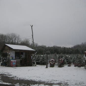 <b><a href="http://tuckamony.com/">Tuckamony Farm</a>: </b>Cultivando árboles desde 1929, esta granja familiar ofrece una amplia selección de árboles para elegir y cortar, incluidos el abeto Fraser, el abeto turco, el abeto Nordmann, el abeto noruego y más. También hay ramos de acebo frescos y coronas de flores hechas a mano. 📍 
<a href="https://goo.gl/maps/QsS35GhrkX8wfrAbA">6320 Upper York Rd., New Hope</a>
<br>